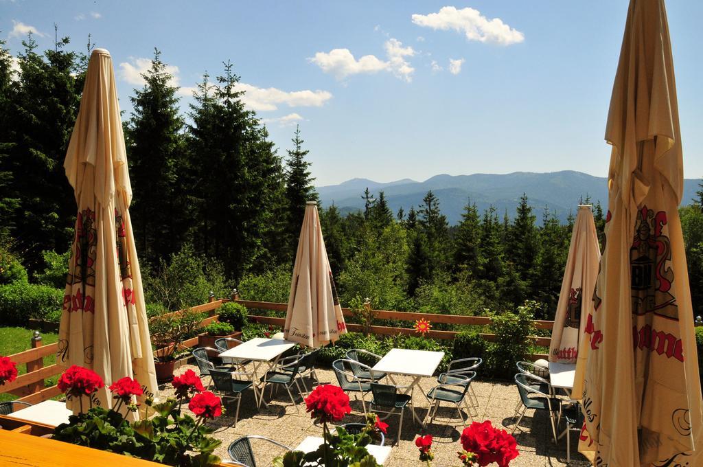 Hotel Kolmsteiner Hof Neukirchen beim Heiligen Blut Exteriér fotografie